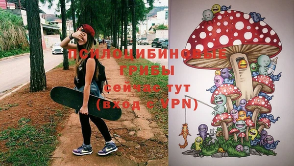 дживик Абинск