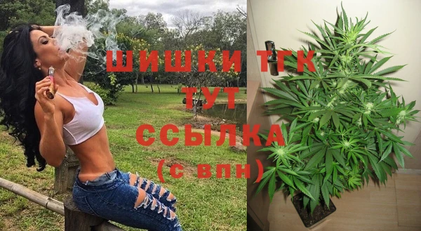 дживик Абинск