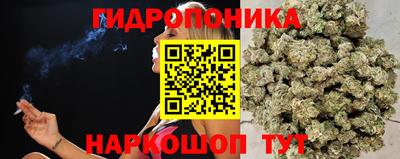 трава Нягань