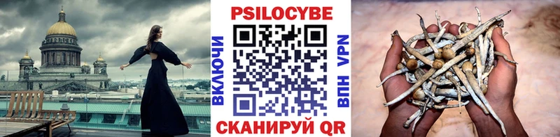 Галлюциногенные грибы прущие грибы  Россошь 