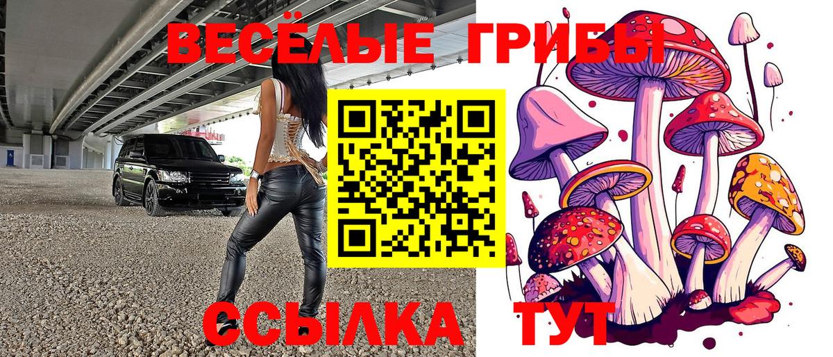 Псилоцибиновые грибы мухоморы Россошь