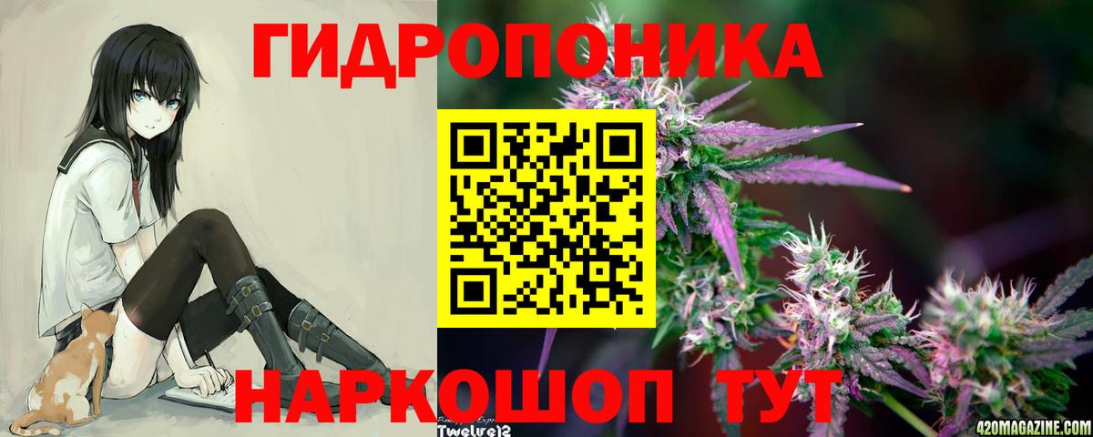 Бошки Шишки марихуана  Шишки марихуана Bruce Banner  Россошь  Вход с VPN  Канабис гибрид 